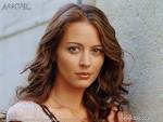 Amy Acker Wallpaper Gallery