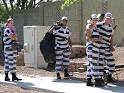 Sheriff JOE ARPAIO