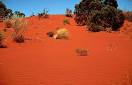 Gibson desert, Australia.
