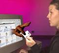 Credit Card Fraud- Do's and Don'ts | North Shore Advisory, Inc.