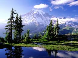 http://t1.gstatic.com/images?q=tbn:ANd9GcSDRVsSwZE6WceT9OqjCEIy9DT92lzj1jYUlafwPkJJ8a5yRhHL