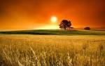 Last evening hour - Sunrise and Sunset - 2560 x 1600 - Desktop ...