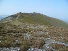 heather and stones marks - via Daymix