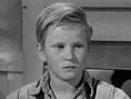 Walter Cunningham jr.