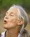 Jane Goodall is an authority