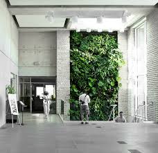 Interior garden patio