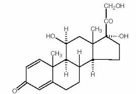 external image  images?q=tbn:ANd9GcSE1oSaLHSqum8UpXPazph3b7b25i7VOxnnfU1ZhkCyrKmgB__8xw