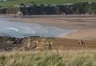 The tractor is ploughing, to the glee of gulls. The coast is eroding fast - via Daymix