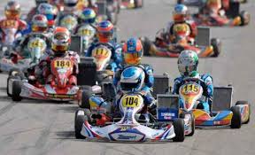 WSK Round 1 Muro Leccese - KF3 winner: Nick de Vries - automobilsport.