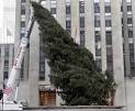 NJ SPRUCE LIGHTS UP AS ROCKEFELLER CENTER TREE | SILive.