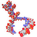 Research ideas related to RNA and Genetics | Say People