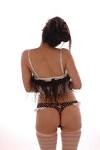 Www Transexual Escorts Com | regionaldatingscene.