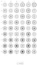 Rose rhodonea curve - via Daymix