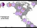 Haplogroup O3 Y Dna