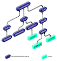 SGI TPL (IRIX 6.5: Administrative/IA_NetwkMail - Chapter 6. BIND ...