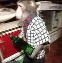 old monkeys