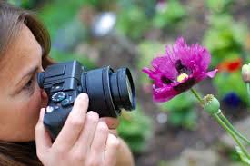  Images for Learners