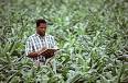 Agricultural science - Wikipedia, the free encyclopedia