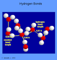 Hydrogen Bonds