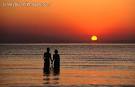 The Black Dress Traveler : Looking for Love in All the New Places
