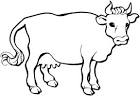Cow coloring page