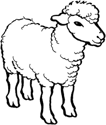 Image result for sheep coloring page