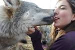 It's the wolf's tongue,