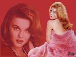 PlanetBarberella's Bipolar express: In praise of all things Ann-