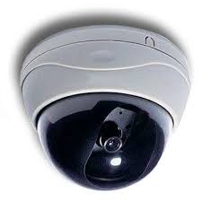 images?q=tbn:ANd9GcSG88PUpqpY8zumBi9U_q8EwlV9fuJmB  iJ3alzRX8s_rXlhSPep8w