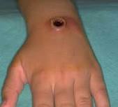 images?qtbnANd9GcSGDtMB0ee1Bs V8OcZThuiOMAUn4Vr8TdizbbyupmaIaPlxSKIRBB4EQSQaQ