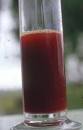 Enzootic Hematuria