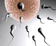 This Is A List Of Infertility Treatments | Pregnancy Miracle