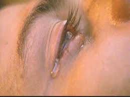 http://t1.gstatic.com/images?q=tbn:ANd9GcSGfObpHslR9G1ohAjNdyT7O1cffeN_F829bapS7B1t7NExrnzz