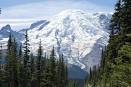 Mt. Rainier National Park