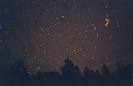 Leonids 2001 Meteor Gallery