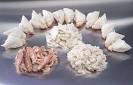 Blue Crab, Pasteurized Crab Meat, Pacific Supreme Blue Crabmeat ...