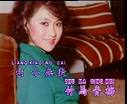 wang shi zhi neng hui wei