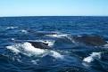 Spiritual Cruise | Psychic Cruise | Galactic Alignment | Mayan ...