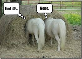 images?q=tbn:ANd9GcSH8gDYUY1IMnYJLIrP_Kj