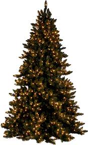 مجموعة صور لأجمل ـشجرة عيد الميلاد - صفحة 8 Images?q=tbn:ANd9GcSHRRzpnBOWWi4T0i4uPEoQJQS6H4b2su6-vQy42c054MgQr9EY