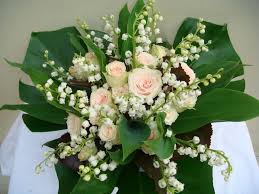 Résultat de recherche d'images pour "images muguet"