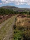 Isle of Man. The forestry road leading from the Druidale road through - via Daymix