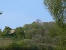 Founded in 1067 by William Fitz Osbern, Wigmore Castle was a major centre of - via Daymix