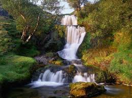 http://t1.gstatic.com/images?q=tbn:ANd9GcSHgcLP3PbR2XJTJfMbB_hnSbvCG3yvw_2jowdhsRHeIqnEM-4W