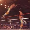 The Fabulous Rougeaus - Wikipedia, the free encyclopedia