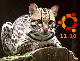 http://t1.gstatic.com/images?q=tbn:ANd9GcSI-QUbkHdmS9bG8A16MbfcwMa0ErbWYrKN9fgL_RORk2zi7rH5qNiOHNsajg