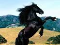 images?q=tbn:ANd9GcSI32j7zBGNleVDHslMWHk