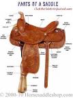 Interactive Western Saddle Parts Diagram