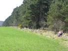 twigs and logs for bashing - a complete woodland percussion section. - via Daymix