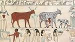 File:Egyptian Domesticated Animals.jpg - Wikipedia, the free ...
